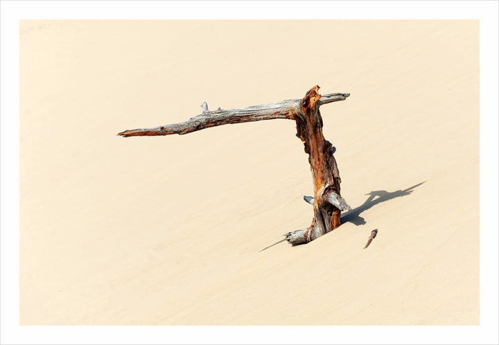 Dune du Pyla © Didier Raux 14