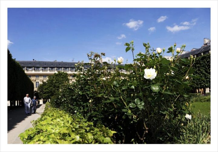Palais Royal © Didier Raux 1
