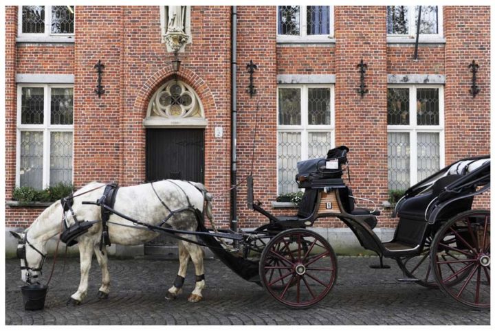 Bruges ©Photos D.Raux 27