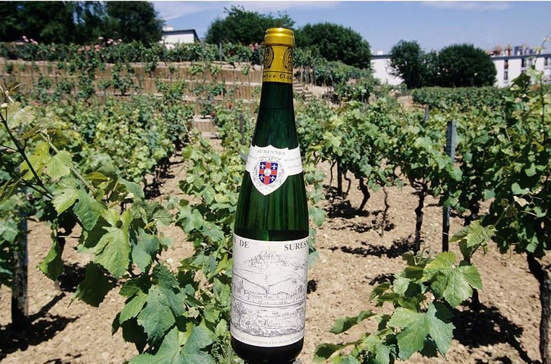 Les caves de cette propriété produit en moyenne cinq mille bouteilles de vin blanc par an.© Didier Raux