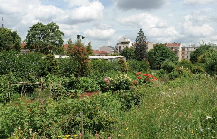 Parc Lucie Aubrac aux Lilas. © Photo Didier Raux