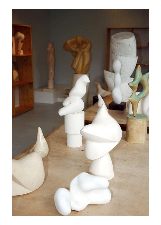 Fondation Jean Arp © Didier Raux 2