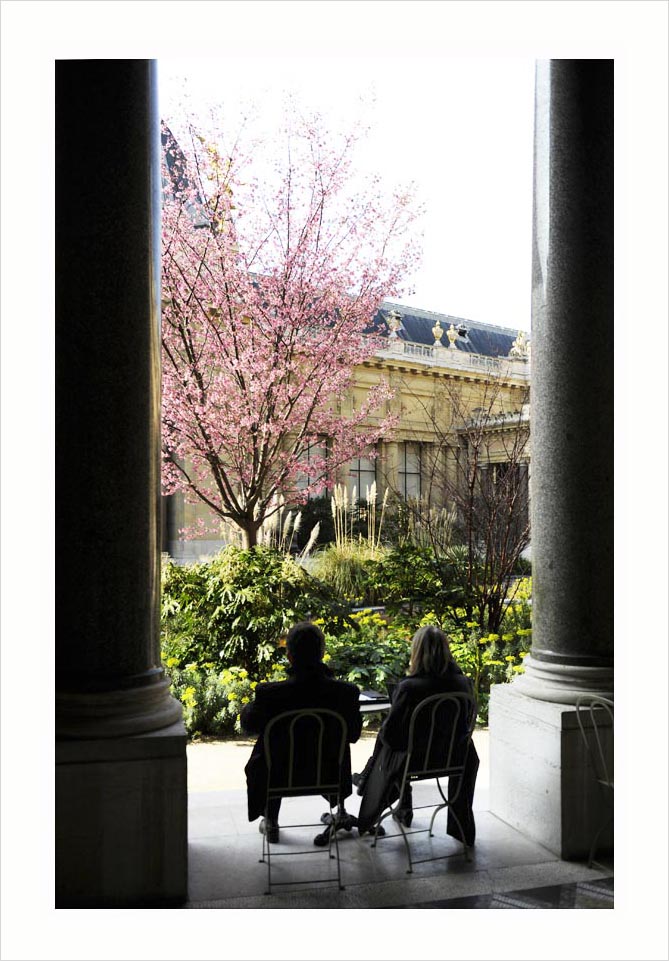 Le Petit Palais Paris © Didier Raux 10