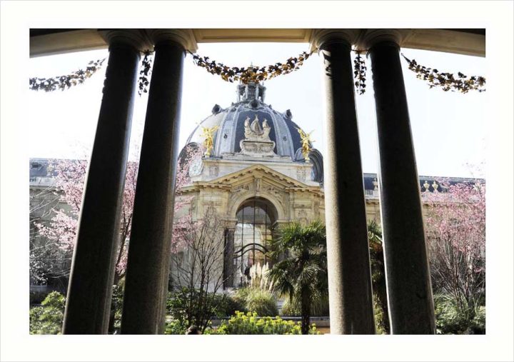 Le Petit Palais Paris © Didier Raux 11
