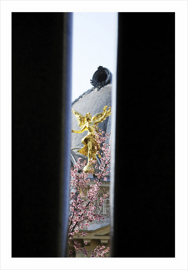 Le Petit Palais Paris © Didier Raux 17