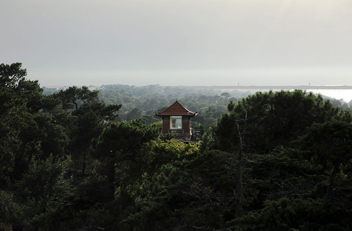 Les fofolles d'Arcachon © D Raux 7