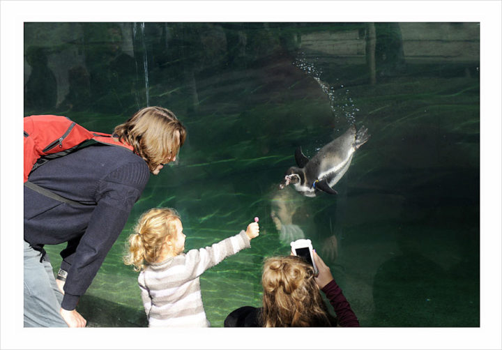 Parc Zoologique de Paris © Didier Raux 3