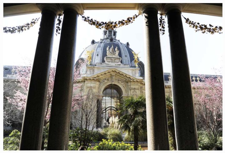 Petit Palais Paris © Didier Raux 11