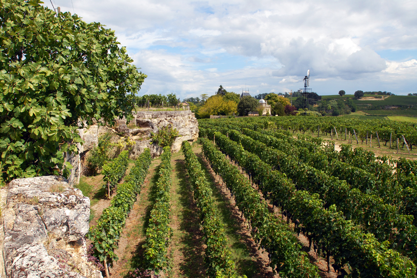 Saint-Emilion 11