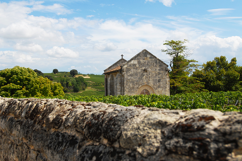 Le vignoble de Saint-Émilion © Didier Raux