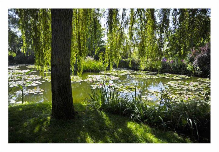 7 Maison Claude Monet Giverny © Didier Raux 13