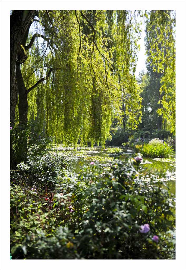 8 Maison Claude Monet Giverny © Didier Raux 12