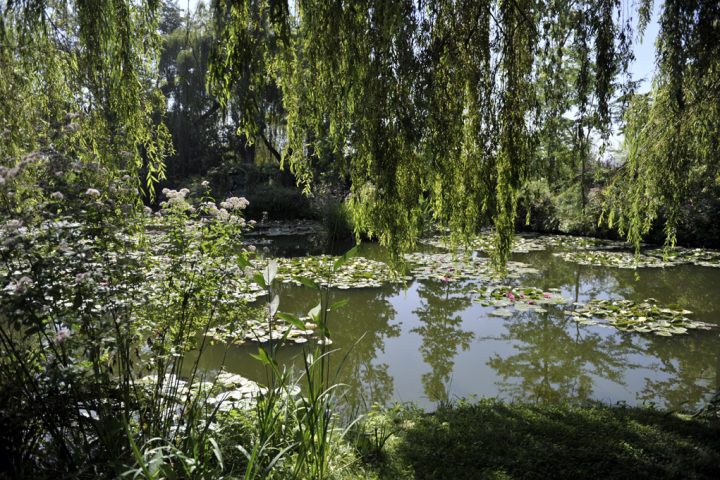 Jardin et Maison Claude Monet à Giverny © Photos Didier Raux