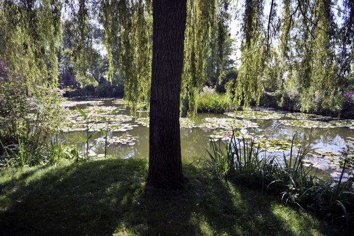 Jardin et Maison Claude Monet à Giverny © Photos Didier Raux