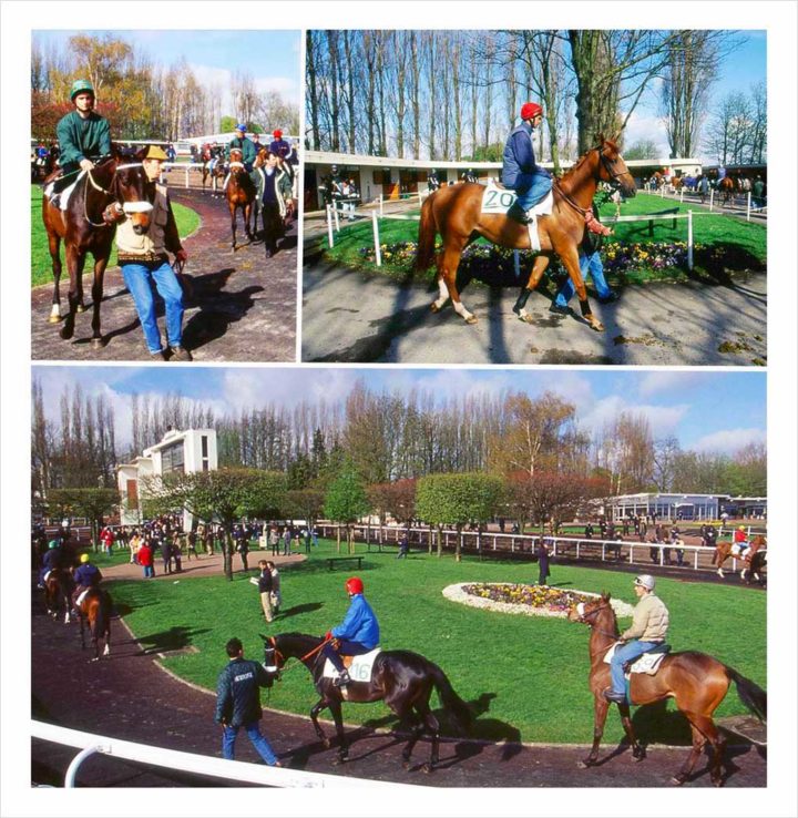 1 Saint Cloud Ventes de chevaux Goffs © D Raux 20