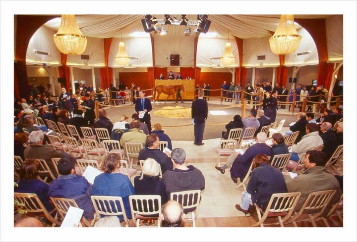 Cracks aux enchères © Didier Raux 1