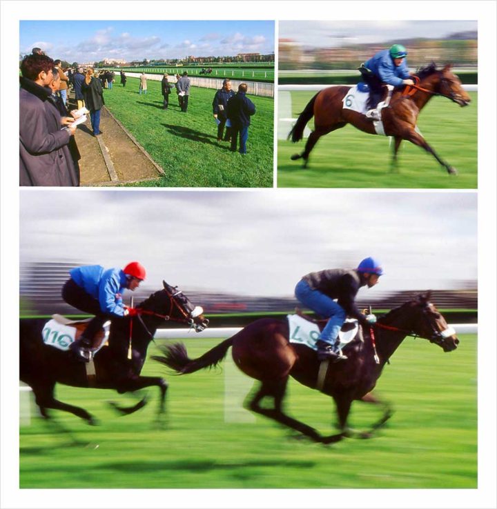 Cracks aux enchères © Didier Raux 10