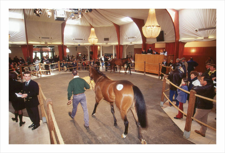 Cracks aux enchères © Didier Raux 5