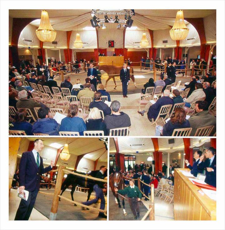 Cracks aux enchères © Didier Raux 8