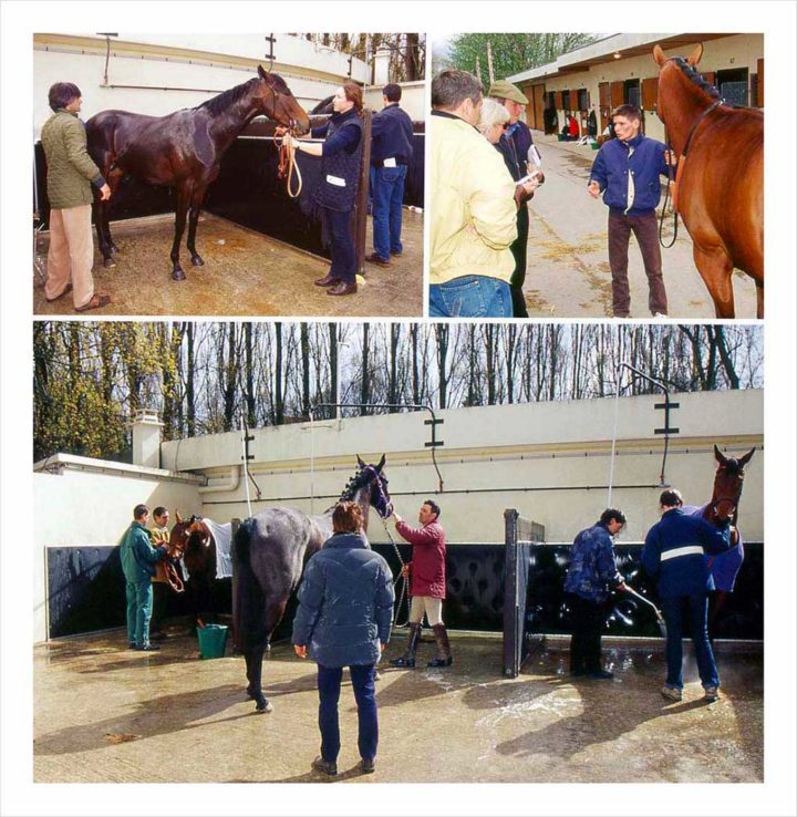 Cracks aux enchères © Didier Raux 9