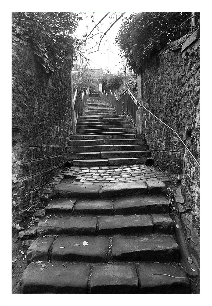 Escalier Meudon © Didier Raux 9