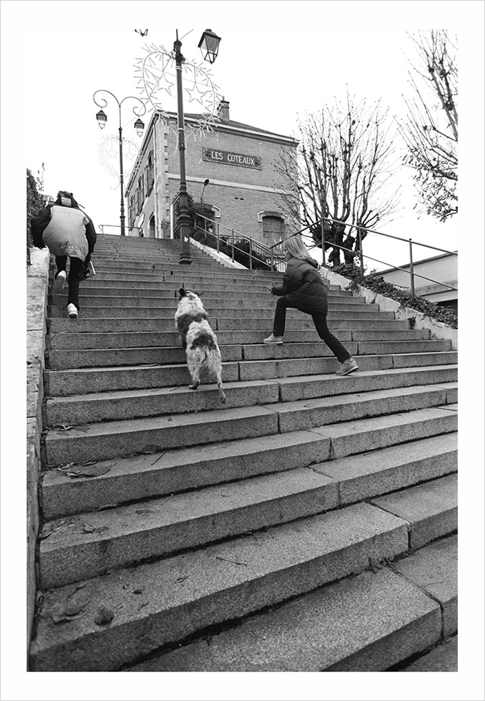 Escalier Saint-Cloud © Didier Raux 6