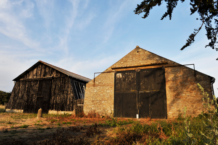 SALORGES-7