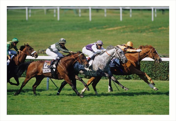 HIPPODROME de St-Cloud © Didier Raux 13