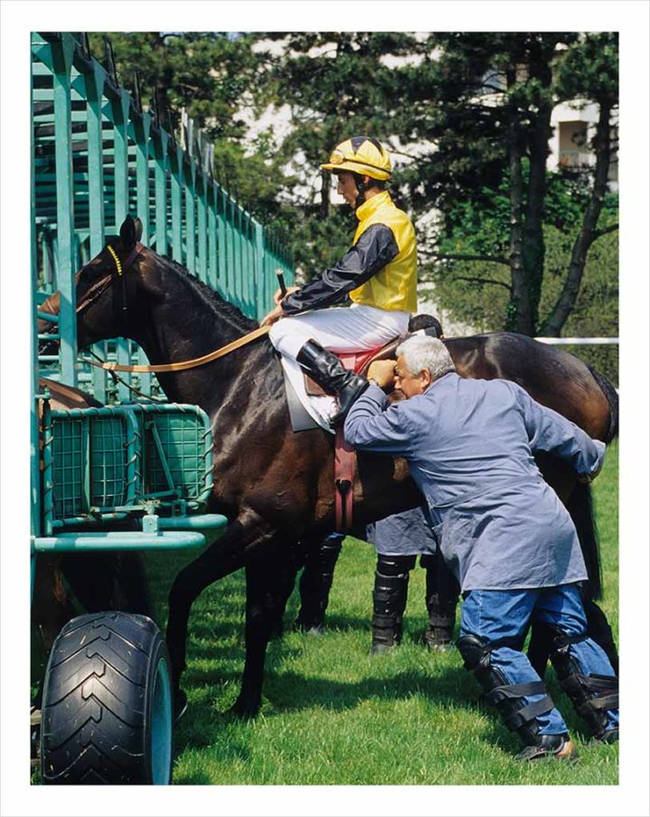 HIPPODROME de St-Cloud © Didier Raux 8