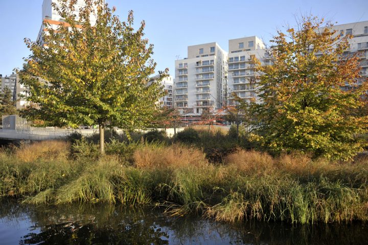 2016 Parc de Billancourt © D Raux 105