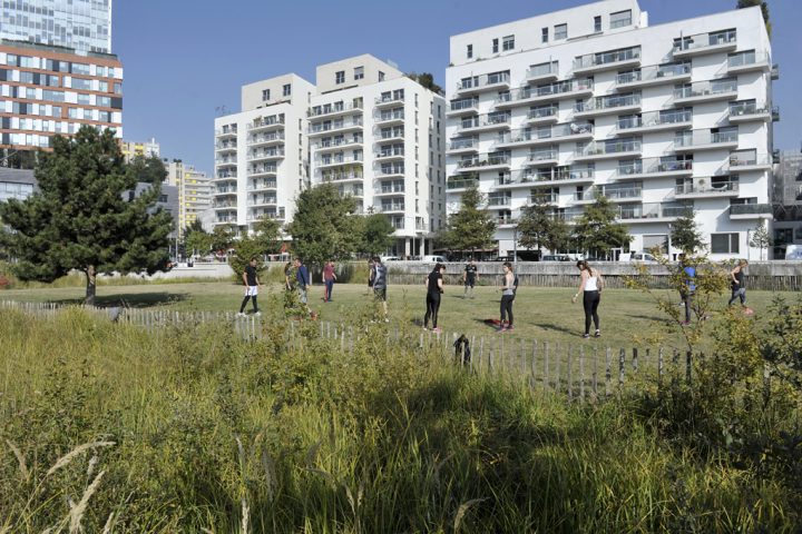2016 Parc de Billancourt © D Raux 113