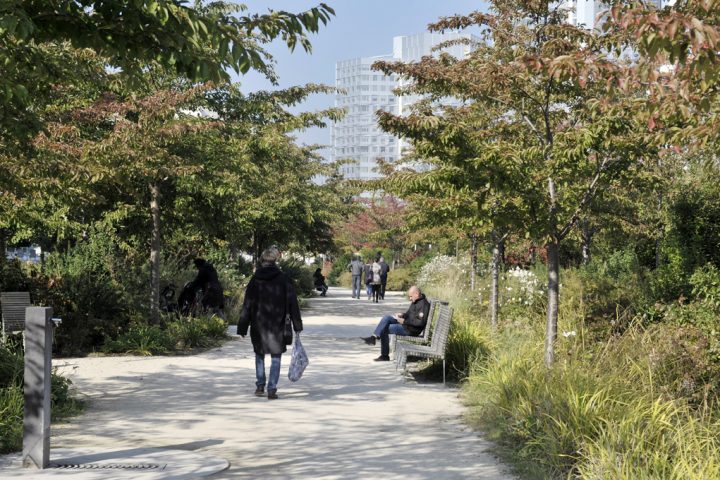 2016 Parc de Billancourt © D Raux 114