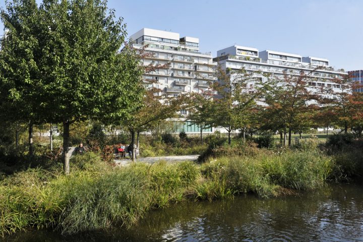 2016 Parc de Billancourt © D Raux 115