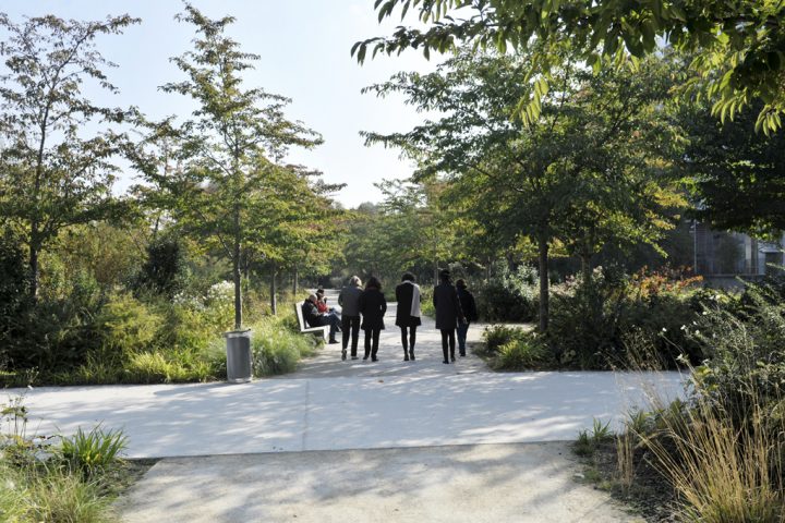 2016 Parc de Billancourt © D Raux 117