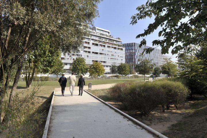 2016 Parc de Billancourt © D Raux 119