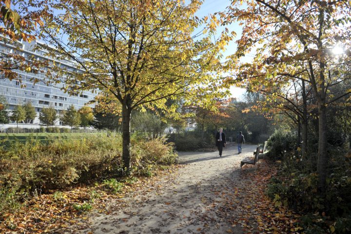 2016 Parc de Billancourt © D Raux 44