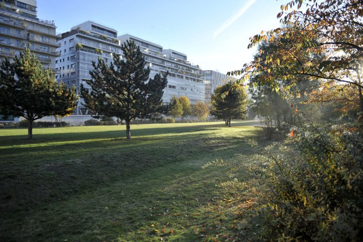 2016 Parc de Billancourt © D Raux 53