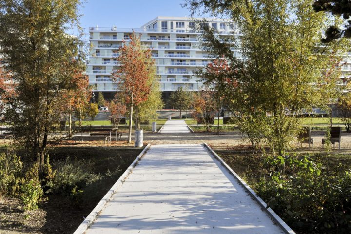 2016 Parc de Billancourt © D Raux 85