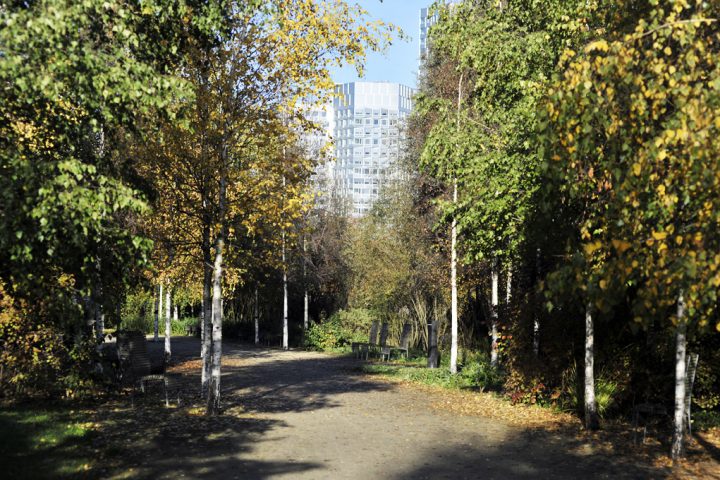 2016 Parc de Billancourt © D Raux 88