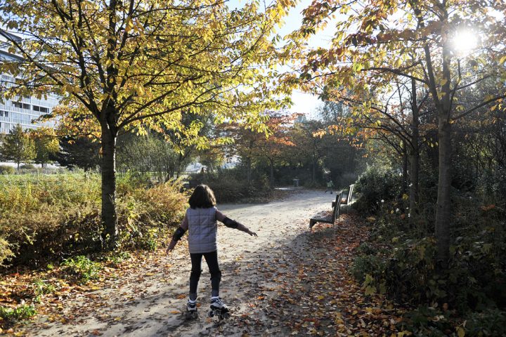 2016 Parc de Billancourt © D Raux 92