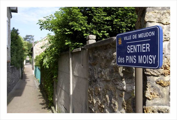 Sentier des Pins Moisy © Didier Raux 1