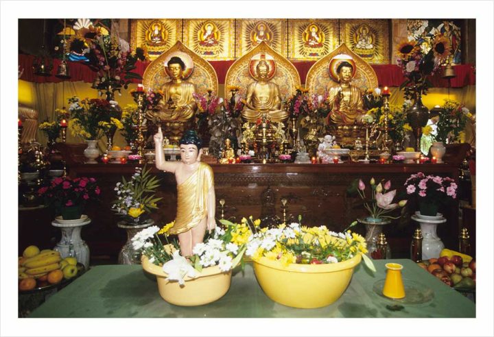 Pagode Tinh Tam de Sèvres © Didier Raux 1