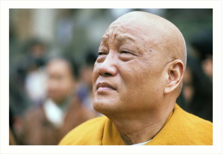 Pagode Tinh Tam de Sèvres © Didier Raux 15