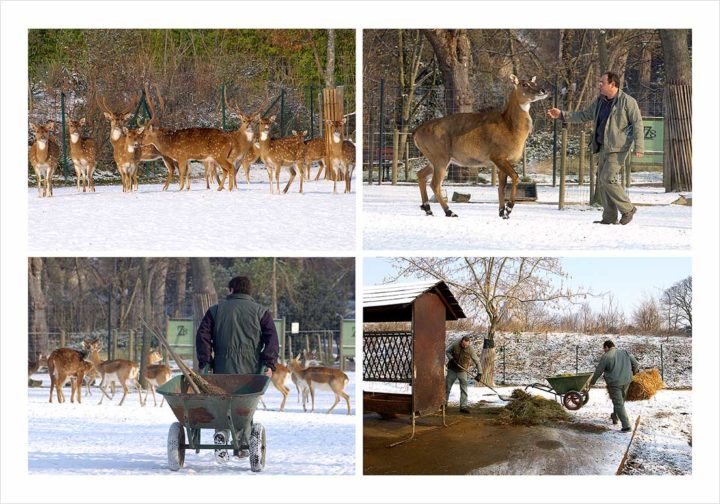 SOIGNEURS ZOO DE VINCENNES © Didier Raux 20