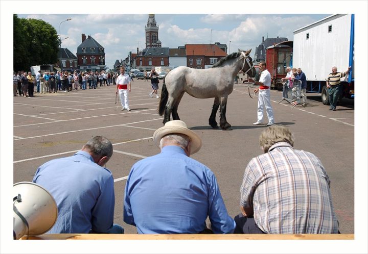 CHEVAUX DE TRAIT VILLE D'ALBERT © Didier Raux 8