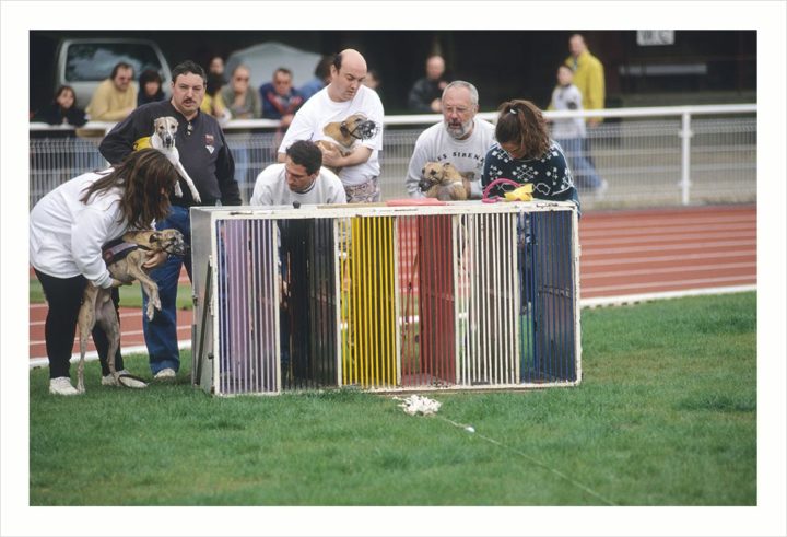 Courses de chien Courbevoie © Didier Raux 7