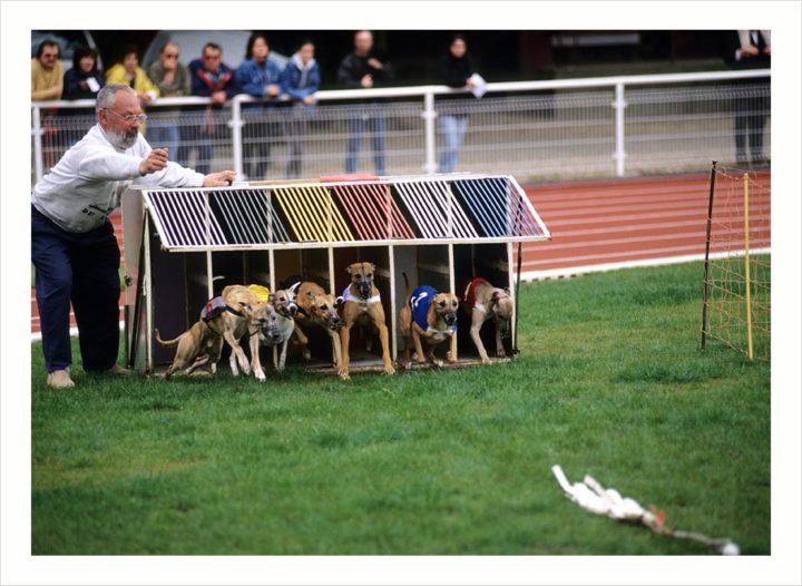 Courses de chien Courbevoie © Didier Raux 8