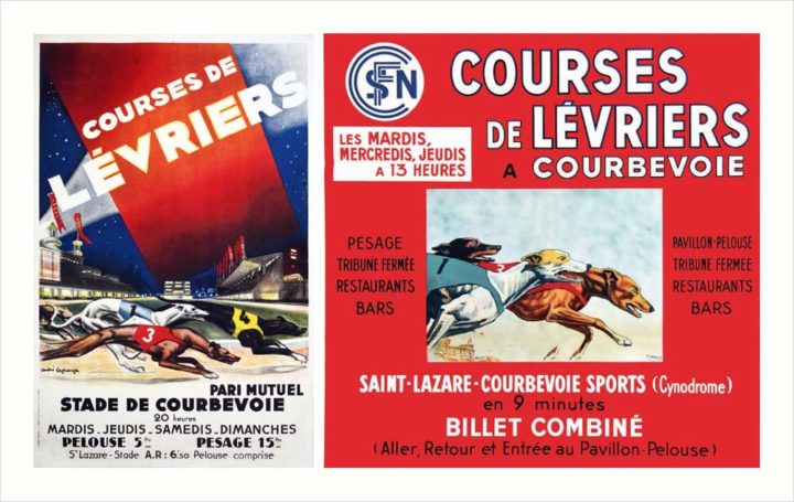 Courses de lévriers 3