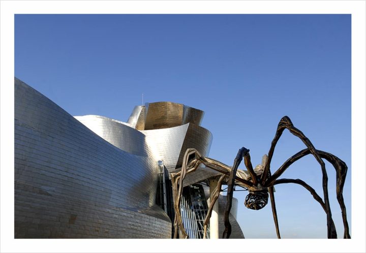 Musée Guggenheim Bilbao © Didier Raux 21