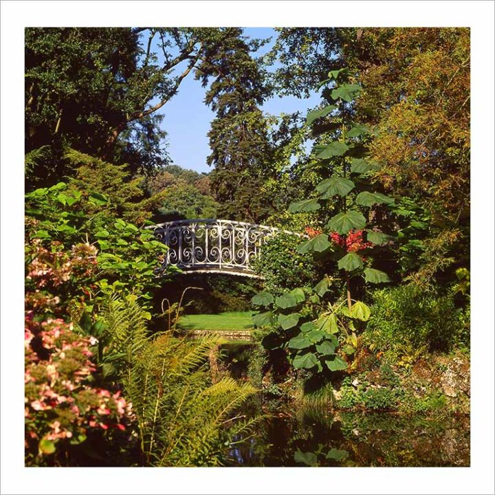 ARBORETUM CHÂTENAY-MALABRY © Didier Raux 2